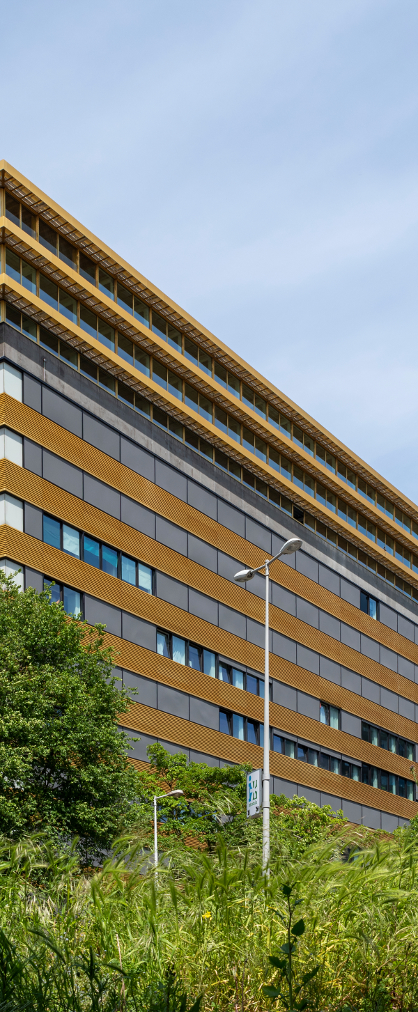 Kondor Wessels Amsterdam - Het Europahuis - Header