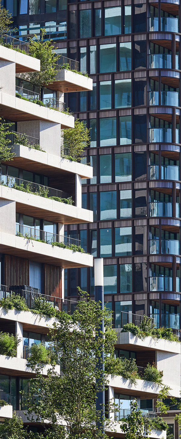 Kondor Wessels Amsterdam - Wonderwoods - Header