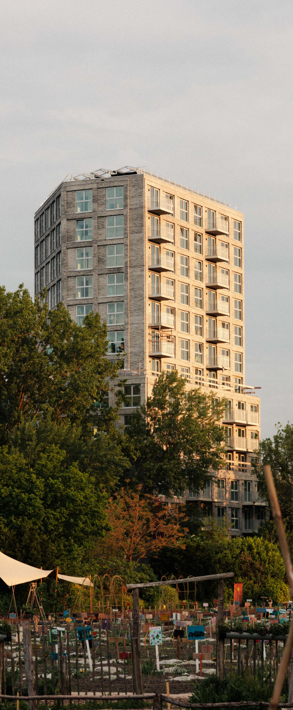 Kondor Wessels Amsterdam - IVY - Header