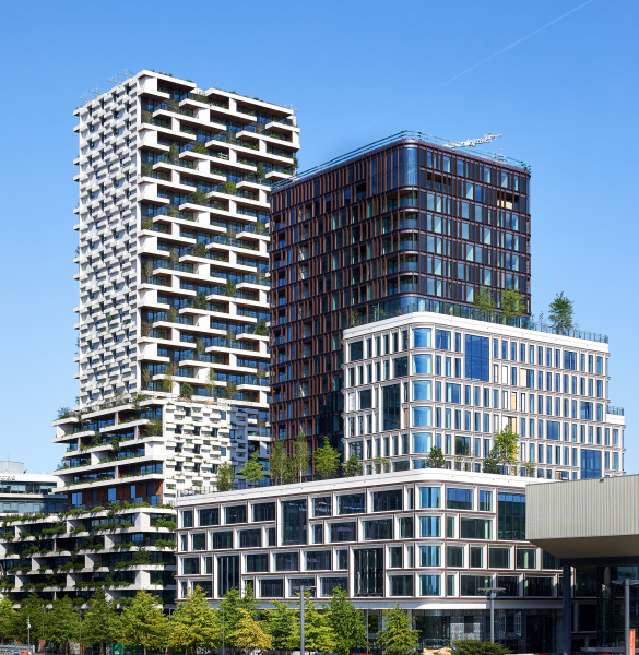Kondor Wessels Amsterdam - Wonderwoods - 003