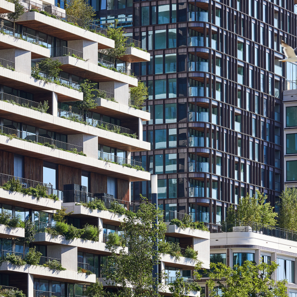 Kondor Wessels Amsterdam - Wonderwoods - Header