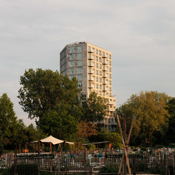 Kondor Wessels Amsterdam - IVY - Header